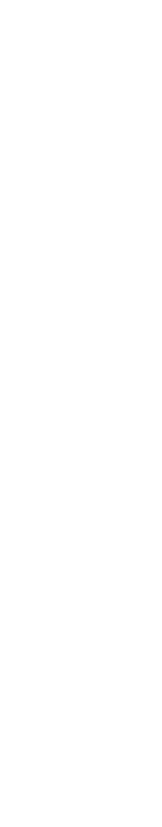 frise-verticale-droite1