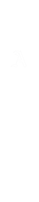 frise-verticale-droite2