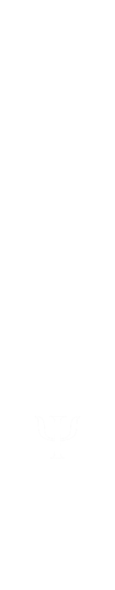 frise-verticale-gauche2