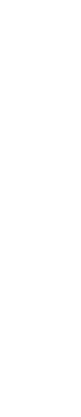 frise-verticale-gauche8