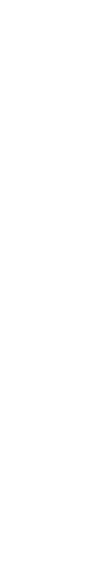 frise-verticale-gauche9